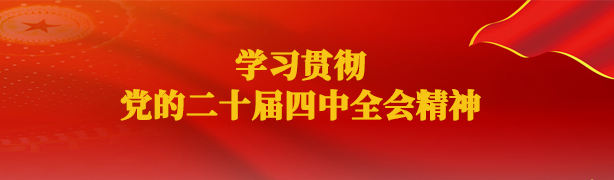 学习贯彻党的二十届四中全会精神